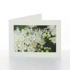 SYMPATHY - WAX FLOWER - FOLDED CARD PK/20