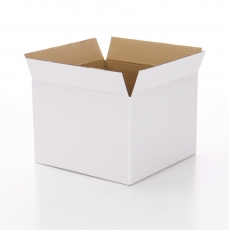 NO.6 BOX WHITE 16.5x16.5x17H (FLAP 4CM)