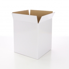 TALL GLOSS CARDBOARD BOX WHITE 21.5x21.5x30H (FLAP 5CM)