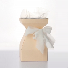 SMALL SQUARE MOD VASE APRICOT 14X14X22CM pack10