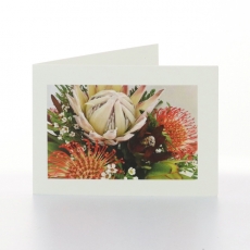 AUSTRALIAN NATIVES - FOLDED CARD PK/20
