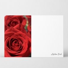 AM HQ WR CARDS RED ROSES 7.5H 10.5W PK/40
