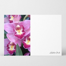 AM HQ WR CARDS ORCHID 7.5H 10.5W PK/40